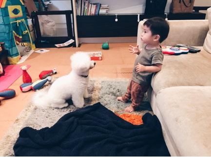 安田美沙子、“あまえんぼ”な息子が愛犬を餌付け「はんな、がんばるのだ。」