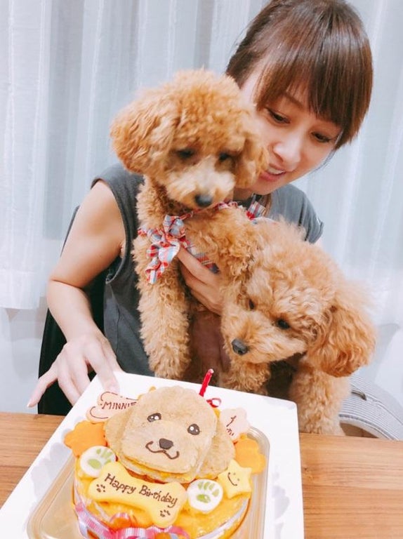 渡辺美奈代、愛犬用のバースデーケーキ公開「とっても喜んで食べてくれました」