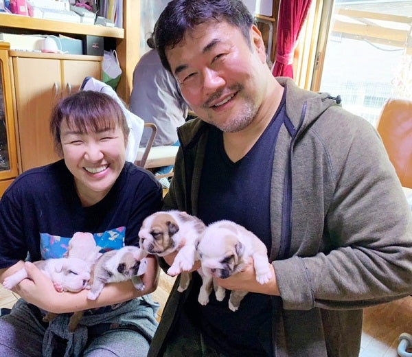 北斗晶＆佐々木健介、愛犬が産んだ子犬達にメロメロ「どうしたらいいの～この可愛さ」