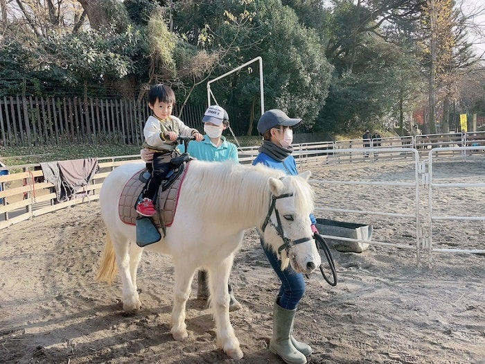 アレク＆川崎希、初乗馬体験をする息子を公開「怖がらずに乗ってた」