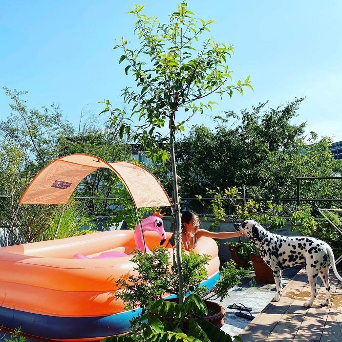 高岡早紀、自宅の屋上でプール開きをしたことを報告「楽しく夏を過ごします」