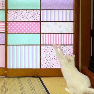 「ステンドグラスみたい」 猫と攻防の末、障子を大胆ゆめかわアレンジ　猫対策は成功も…「外を眺める窓も作ってあげたい」