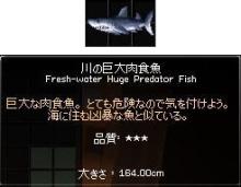川の肉食魚