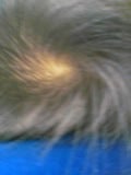 ginga