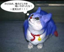 ドラネコ