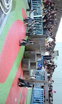 永田篤史も日々レッスン♪-CA390132-0001.jpg