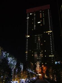 ナチュラルデザインワークスのブログ
