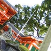 祇園をぶらつく(o^-')bの画像