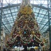 ディズニーランド♪♪の画像
