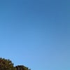 バレンタイン　～2008～の画像