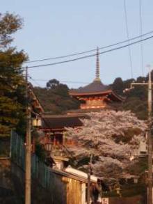 清水寺1