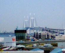 200604301109000.jpg