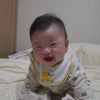 おすわり (｡☣ฺˇ益ˇ☣ฺ｡)の画像