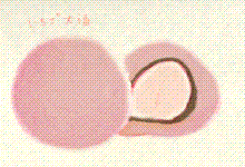 いちご大福