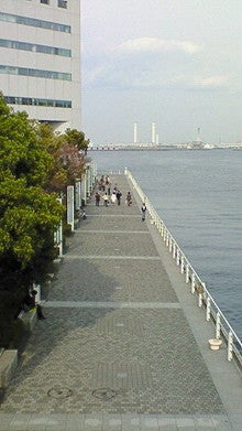NEC_0009.jpg