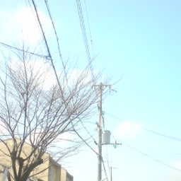 yuuさんのﾌﾞﾛｸﾞ-090205_1122~01.jpg