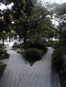2008082116450000.jpg