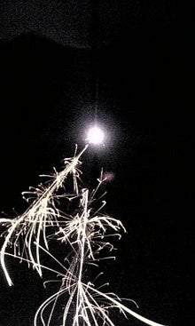 080723_203052.jpg