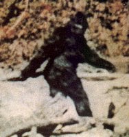 ビッグフット