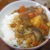 今日は朝から…の画像