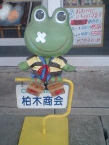 鬼太郎蛙