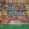 スイミングの画像