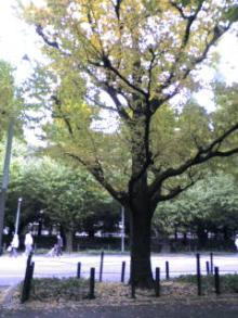 20051113160534.jpg
