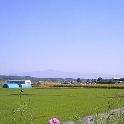 画像 やべえ の記事より