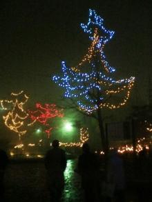 中央公園の電飾