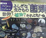 P1080092.jpg
