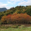 １１月１１日の画像