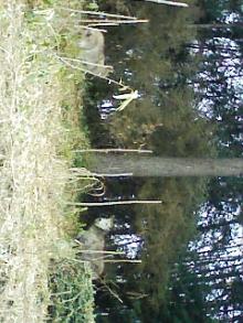 070201_104251.jpg