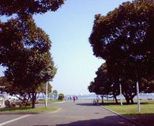 200609031007000.jpg