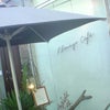 癒しの楽園へ♪の画像