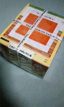 りんのちょろちょろダイアリー-全体.JPG