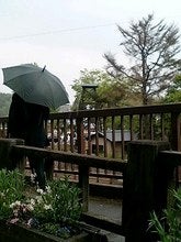 050501_1002~0001.jpg