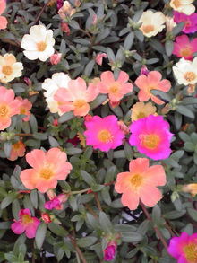 2008090509290000.jpg