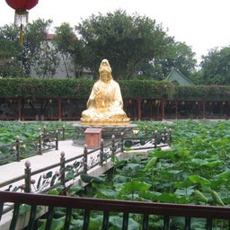 觀音金像