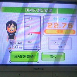 画像 Wii Fit の記事より 1つ目