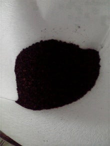 2008091413500000.jpg