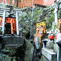 ハチの日記-200902121550000.jpg