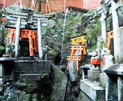 ハチの日記-200902121550000.jpg