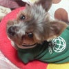 終わった～の画像