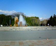 200701101246000.jpg