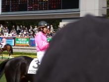 サクラスティンガーと三浦騎手