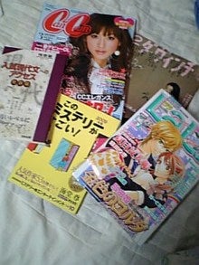 白鳥日記-090125_173642.jpg