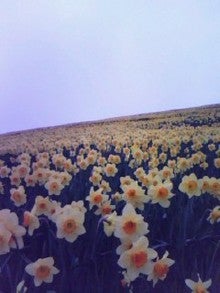 080505_1414~0002.JPG