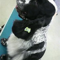 ☆☆☆JUN★LIFE☆☆☆-2009020619280000.jpg