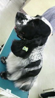 ☆☆☆JUN★LIFE☆☆☆-2009020619280000.jpg