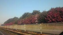 マルコのブログ-081206_090546.jpg